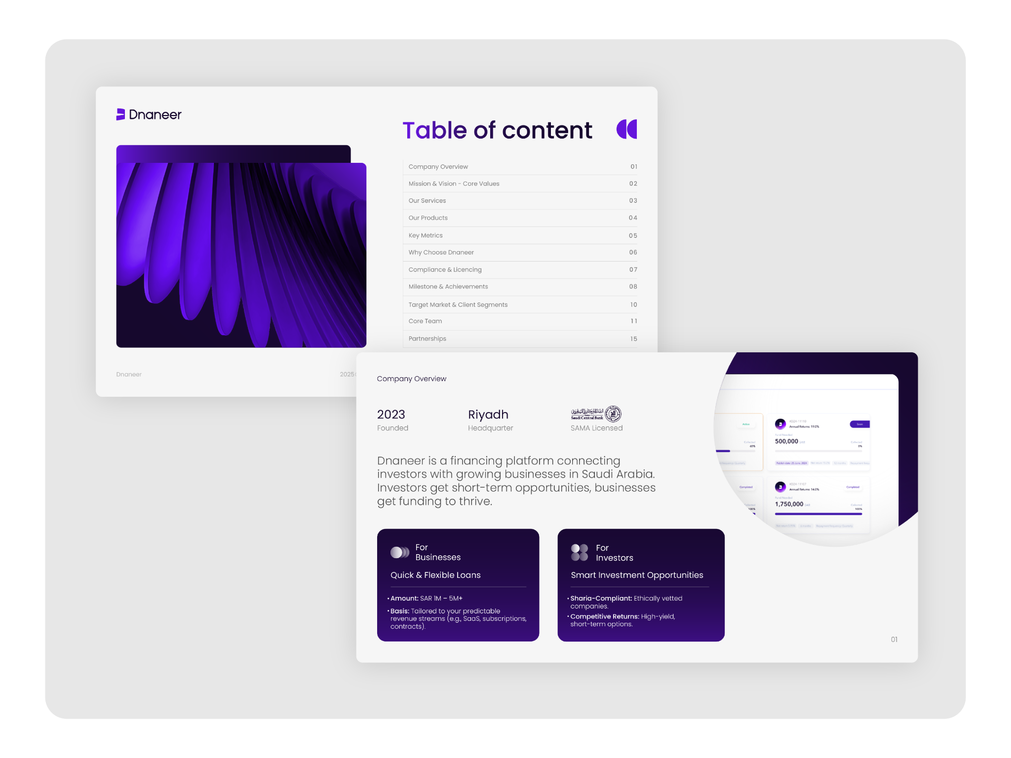 Dnaneer — company overview & presentation structure